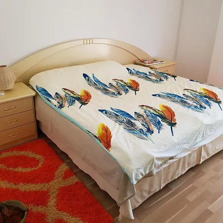Holiday Dream Mamaia