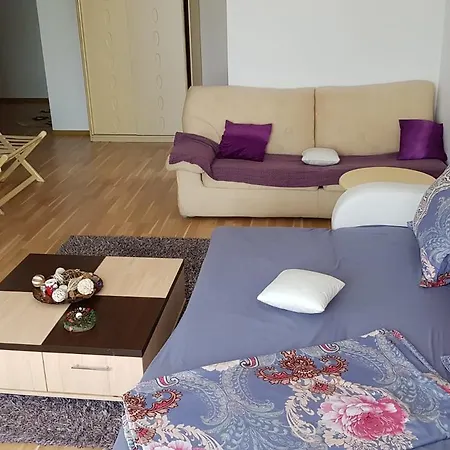 Holiday Dream Mamaia